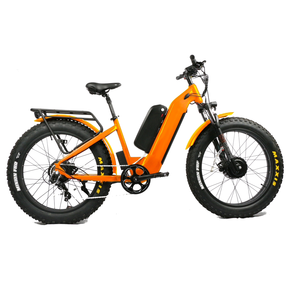 Dual Motor Electric Motorcycle Frame - Vélo de montagne électrique à double