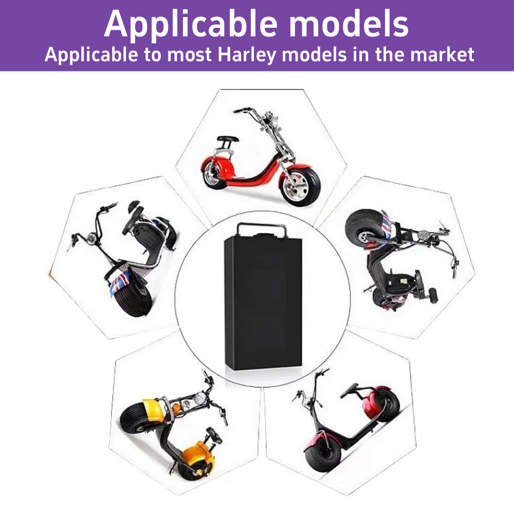 Batterie au lithium 60V pour v - 60V 30Ah Electric Scooter Battery avis et prix